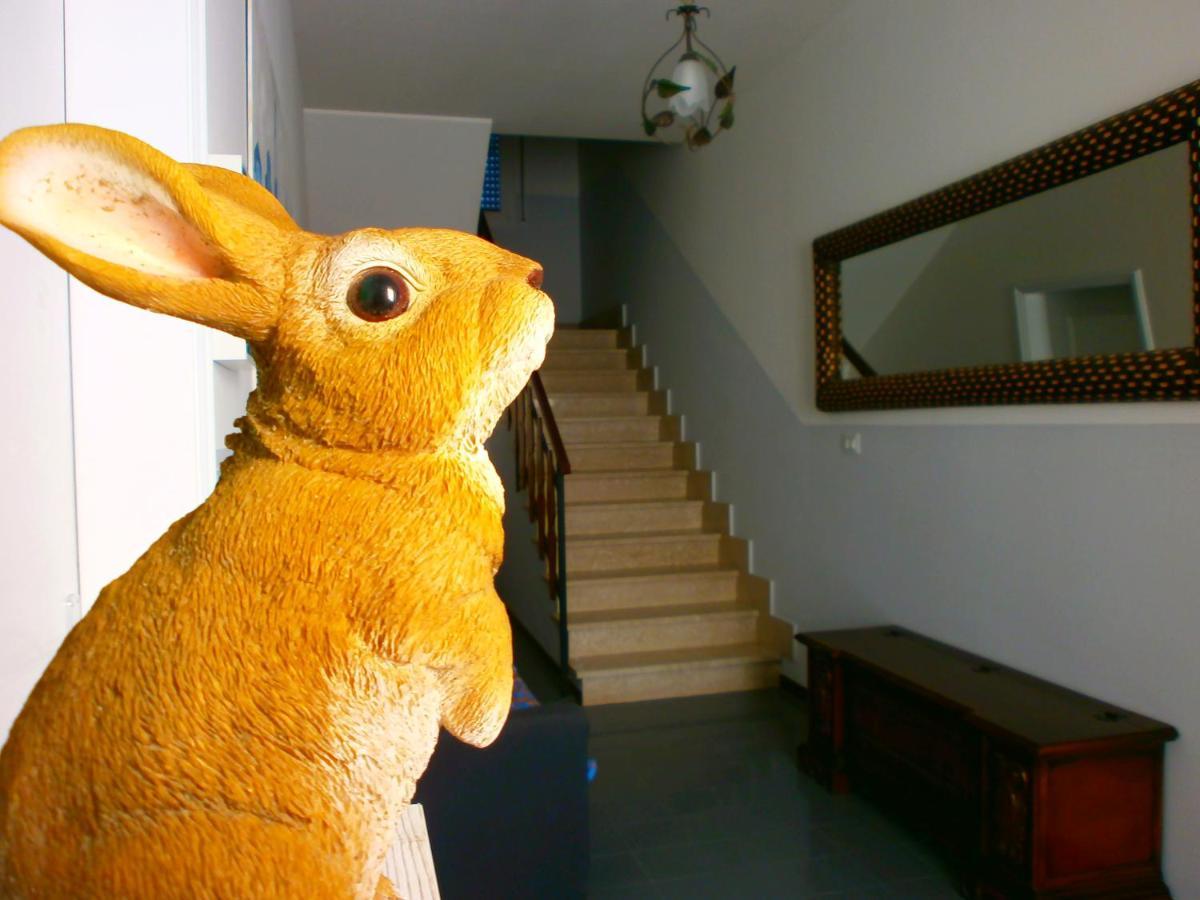 Il Leprotto - Room & Breakfast Altedo Bagian luar foto