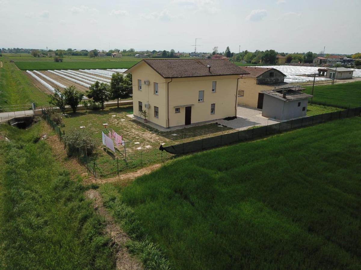 Il Leprotto - Room & Breakfast Altedo Bagian luar foto